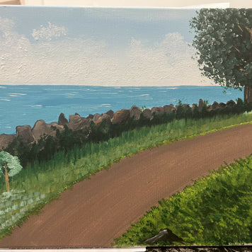 Evanston Beach