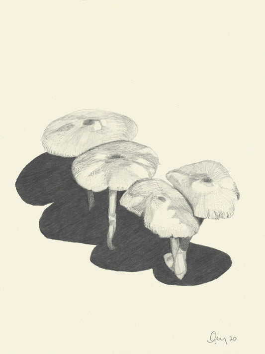 "Mantra" framed print