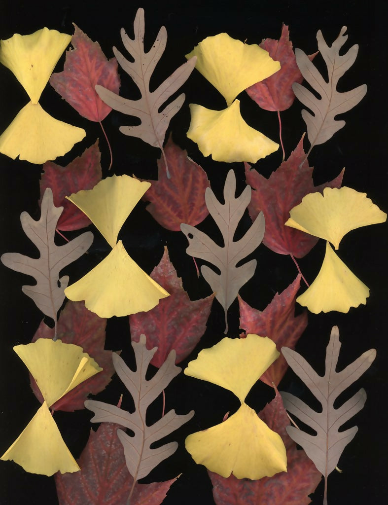 Fall Pattern