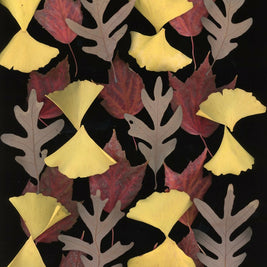 Fall Pattern