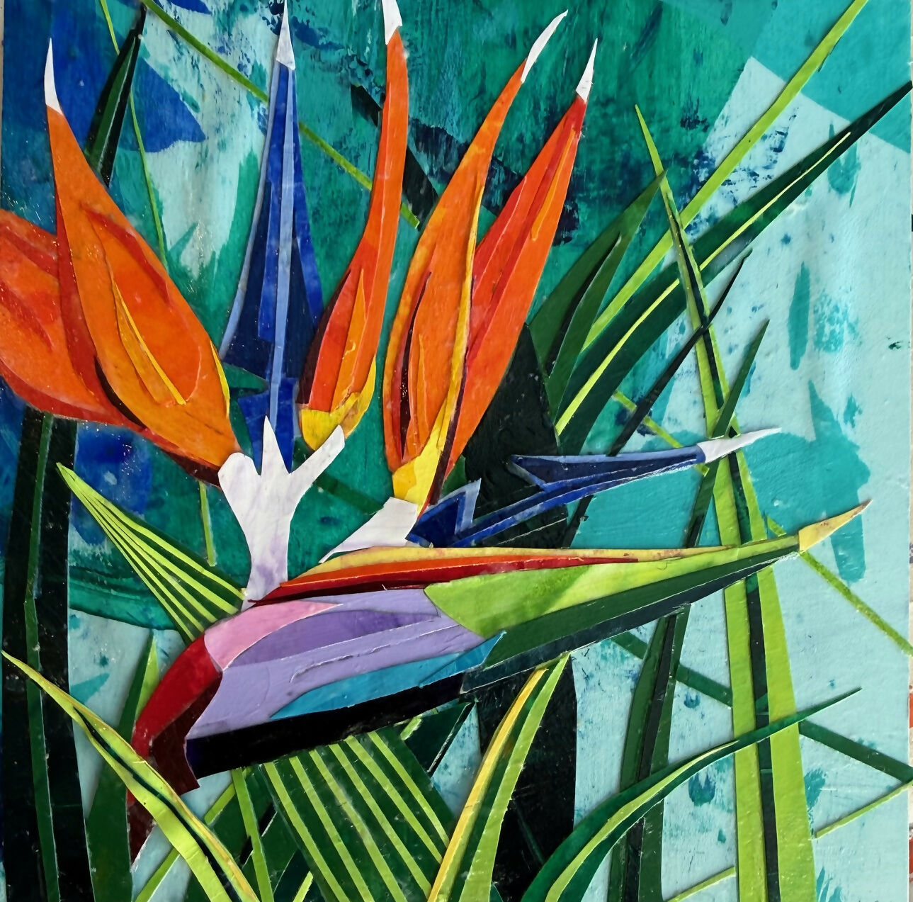 Bird of Paradise 3