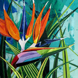 Bird of Paradise 3