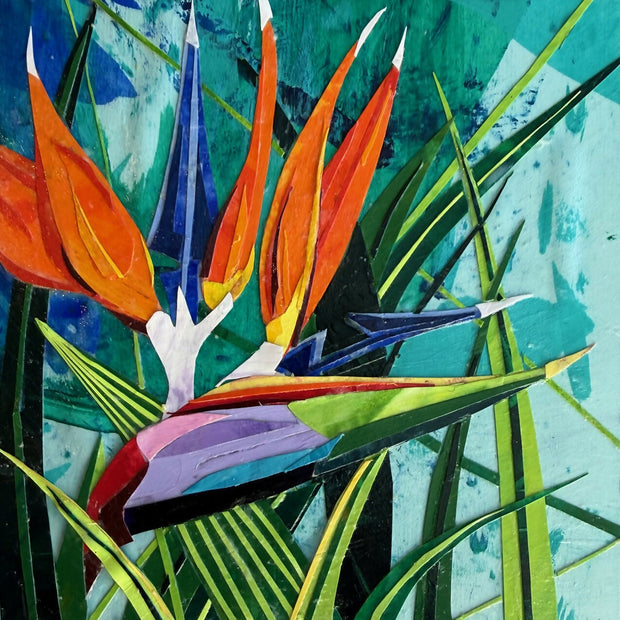 Bird of Paradise 3