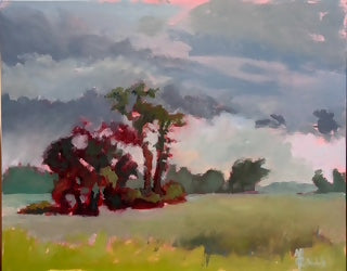 Summer Storm on the Prairie