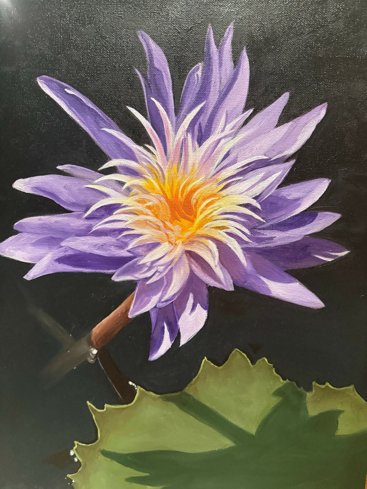 Water Lily 2