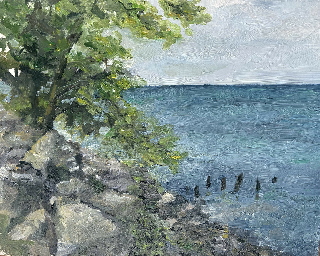 Amanda Roman Lakefront