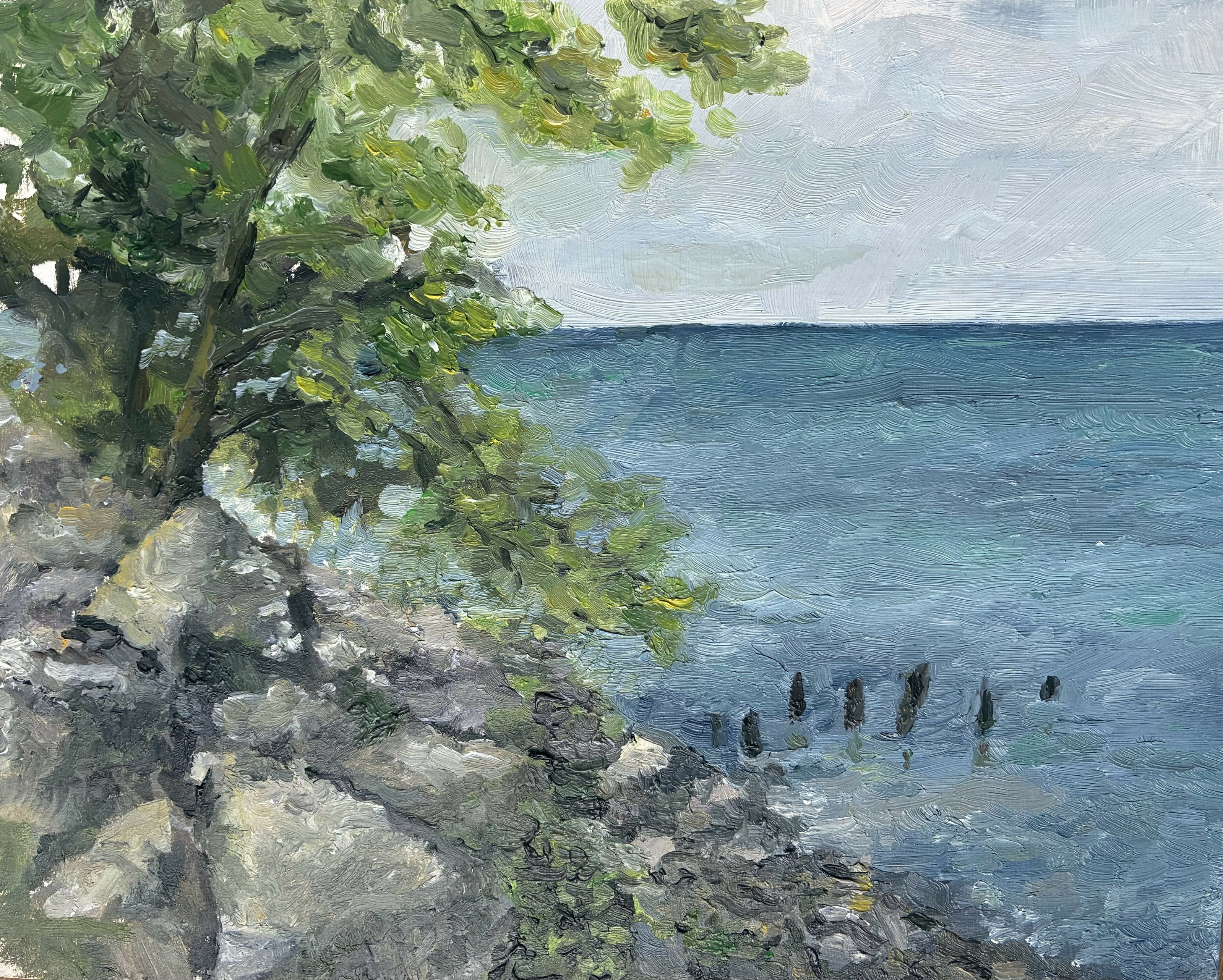 Amanda Roman Lakefront