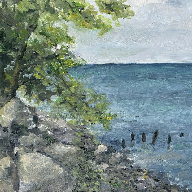 Amanda Roman Lakefront