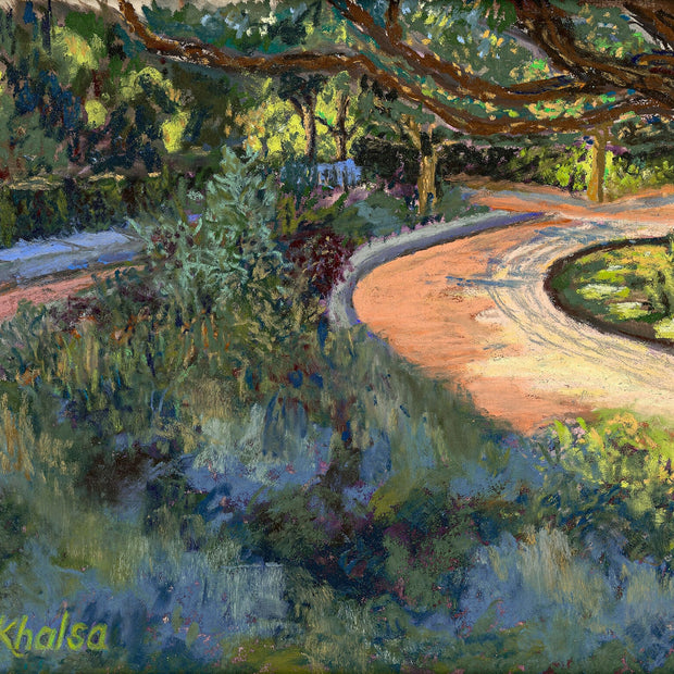 Special Light - Morton Arboretum