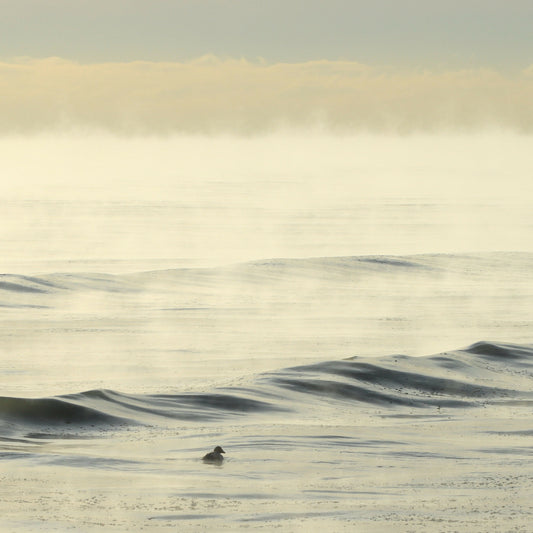 paddle in the sea smoke