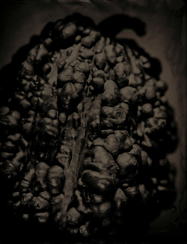 Gourd