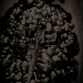Gourd
