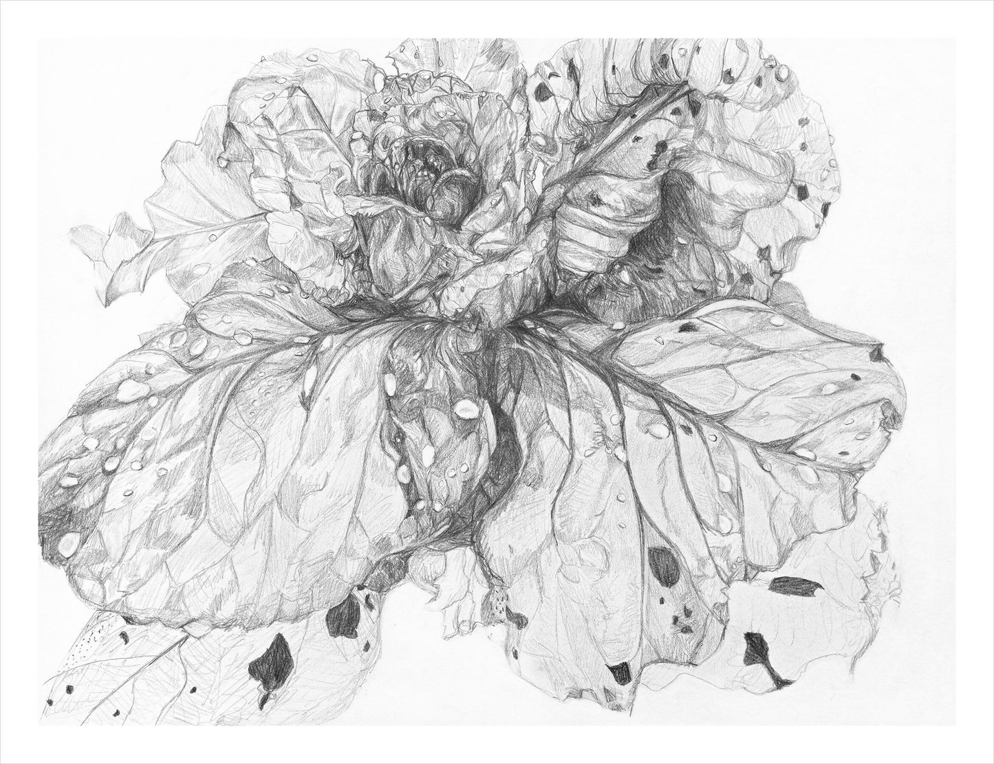 "Shining Through" framed original