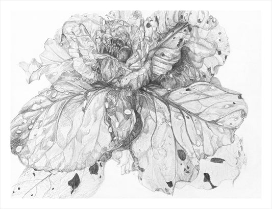 "Shining Through" framed original