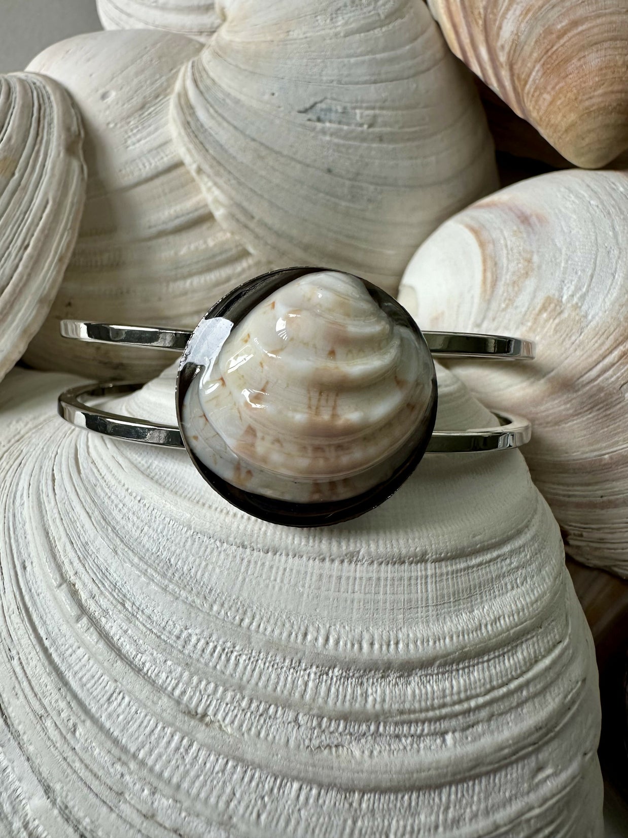 King Venus Shell (Turks and Caicos) Bangle Bracelet