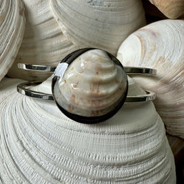 King Venus Shell (Turks and Caicos) Bangle Bracelet
