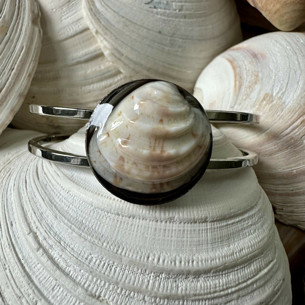 King Venus Shell (Turks and Caicos) Bangle Bracelet