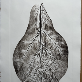 Vase_23_LR