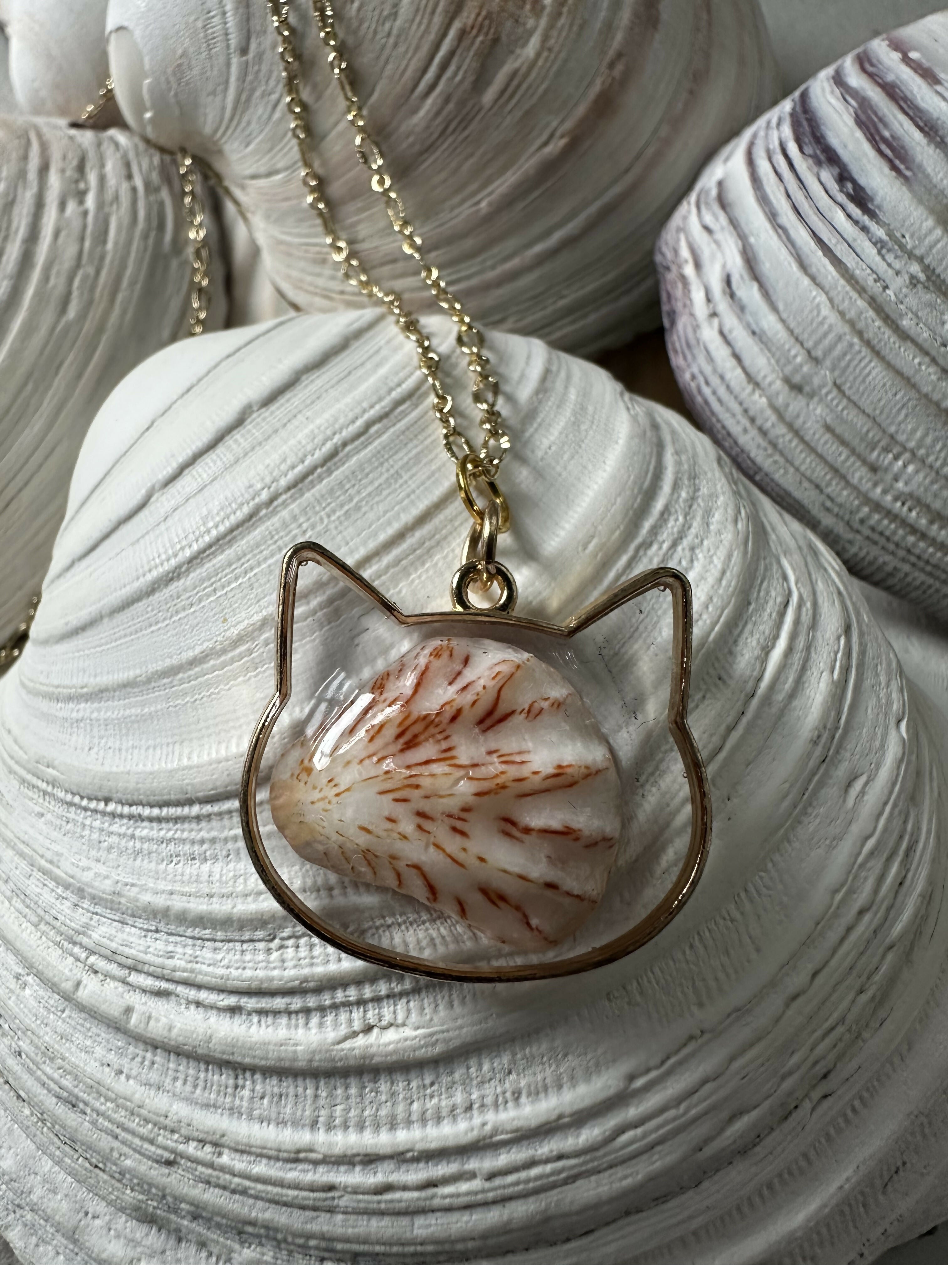 Kitten's Paw Shell Pendant Necklace