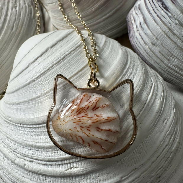 Kitten's Paw Shell Pendant Necklace