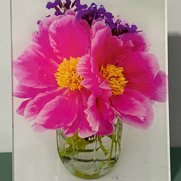 Pair of Peonies