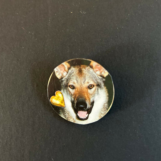 German Shepherd