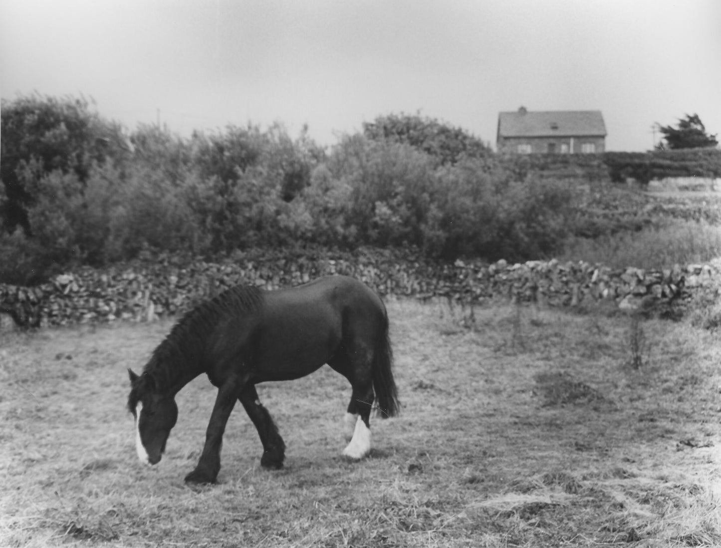 on Inis Oirr, Ireland