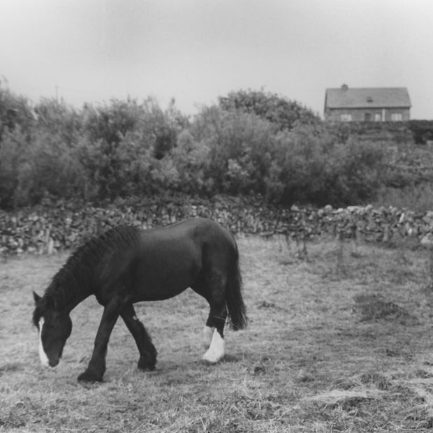 on Inis Oirr, Ireland