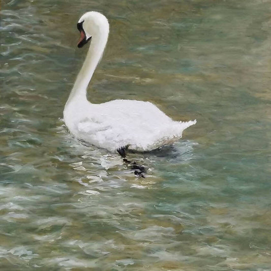 Swan Swoon