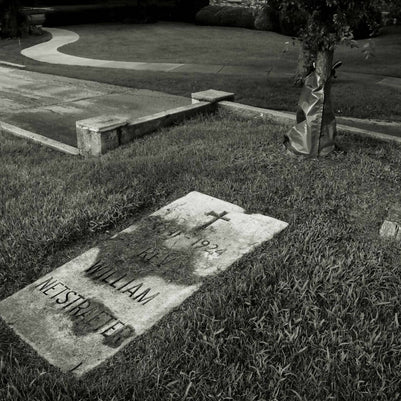 Untitled (St. Joseph Cemetery, Wilmette, 2016)