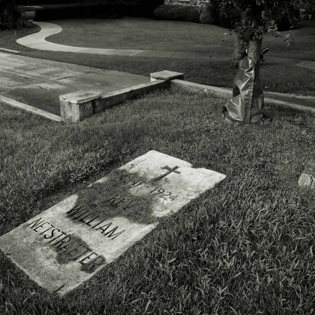 Untitled (St. Joseph Cemetery, Wilmette, 2016)