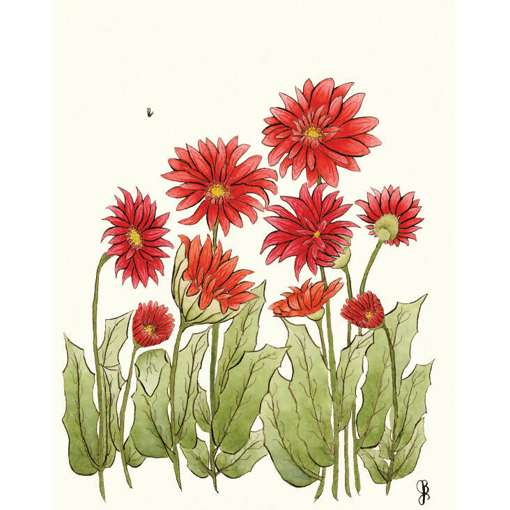 Poppies and Daisies Series 4-pack