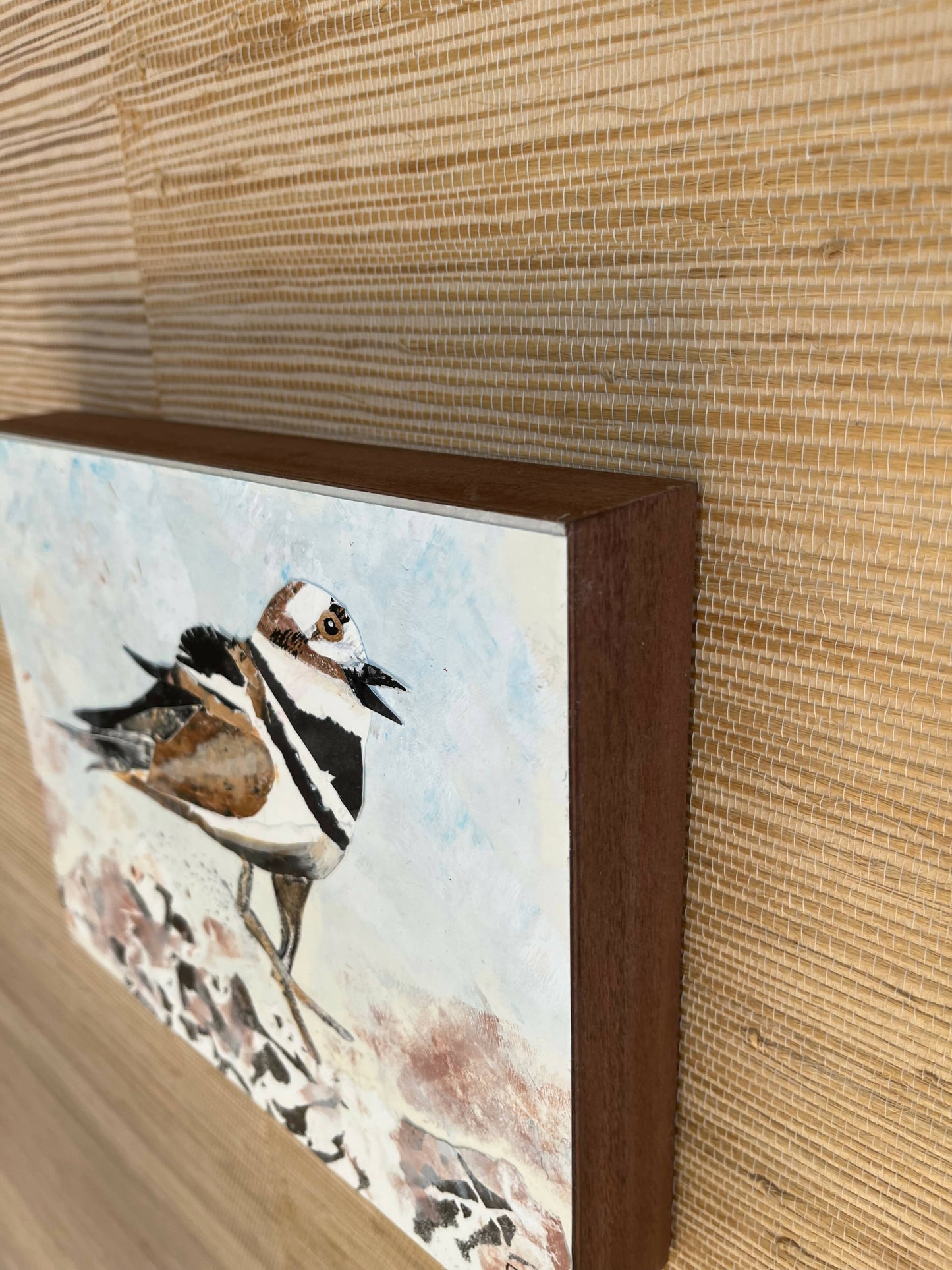 Killdeer Bird Collage