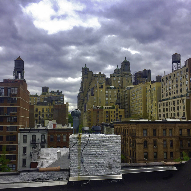 From Loretta's Roof, New York City