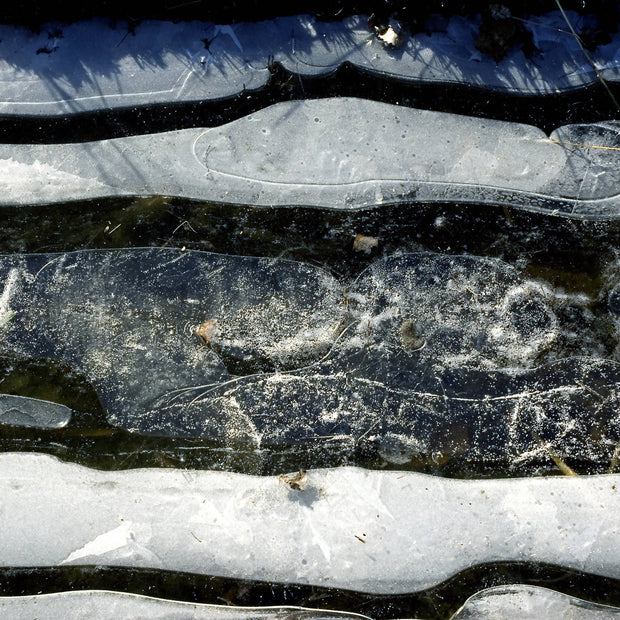 Ice Siskind