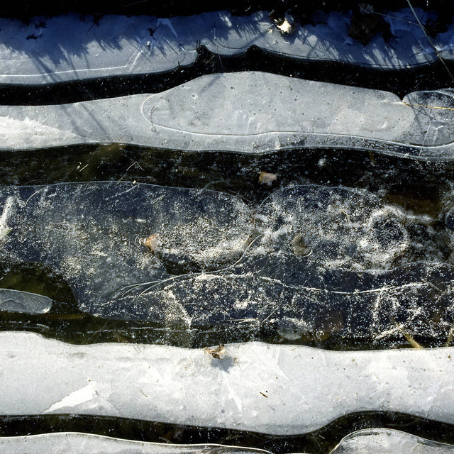 Ice Siskind