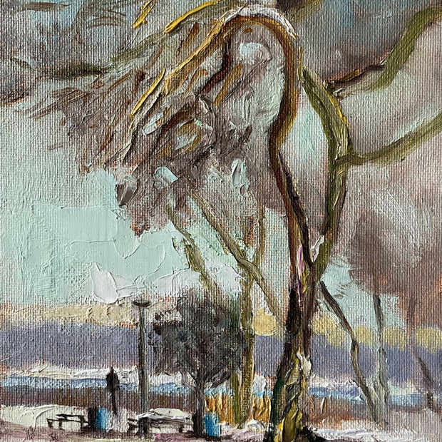Winter At The Evanston Lakefront