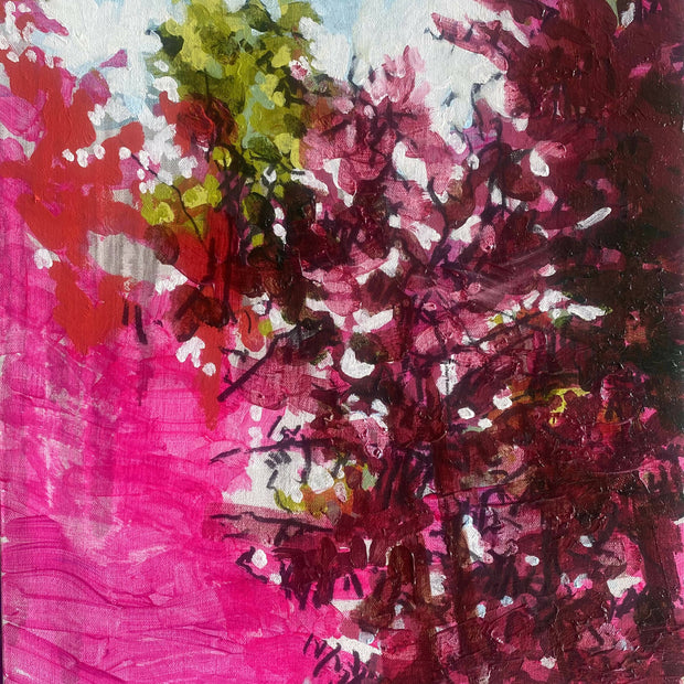Light in the Treetops Whitewater 2023.01