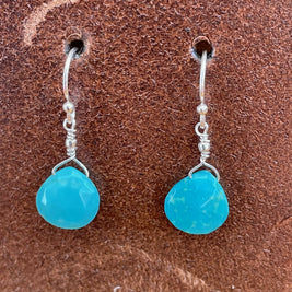 Drops of Goodness Earrings in Sterling Silver DOGERS
