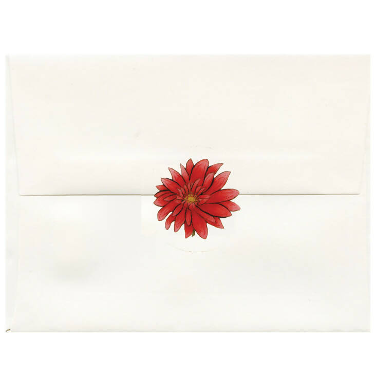 Poppies and Daisies Series 6-pack