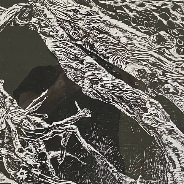 Driftwood