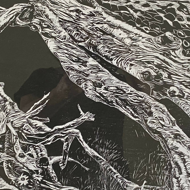 Driftwood