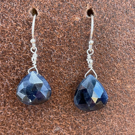 Drops of Goodness Earrings in Sterling Silver DOGERS