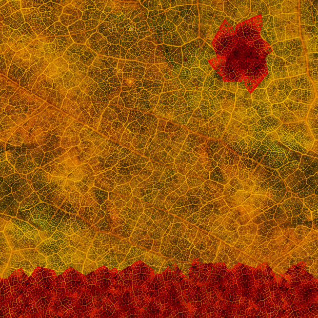 Composite Series MkII - No. 2
