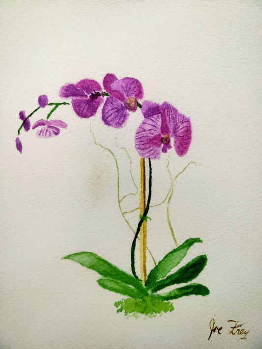 Orchid Watercolor Print