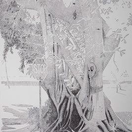 Banyan Tree Stop Sign, Florida