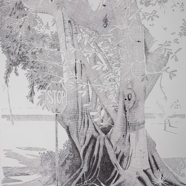 Banyan Tree Stop Sign, Florida