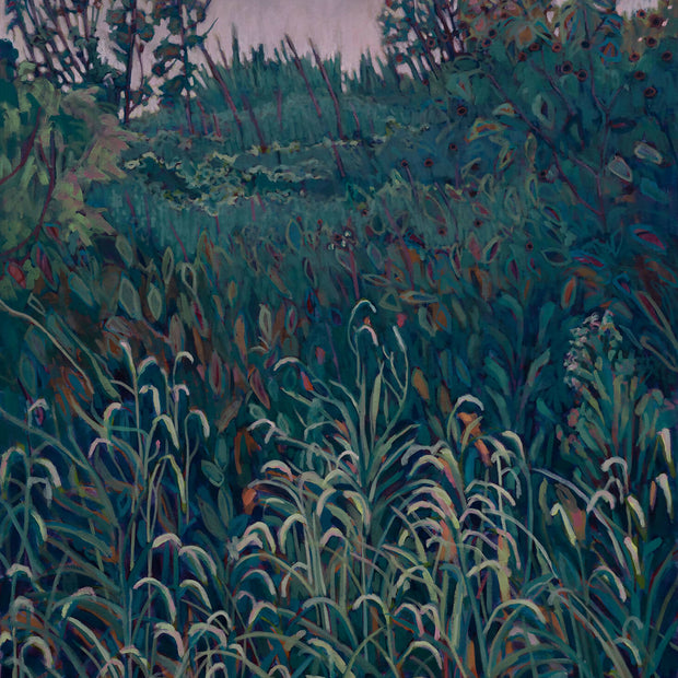 CHATAUQUA MARSH