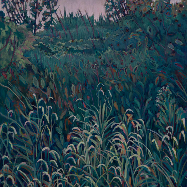 CHATAUQUA MARSH