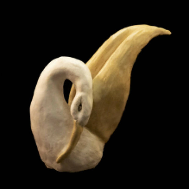 Stretching Swan